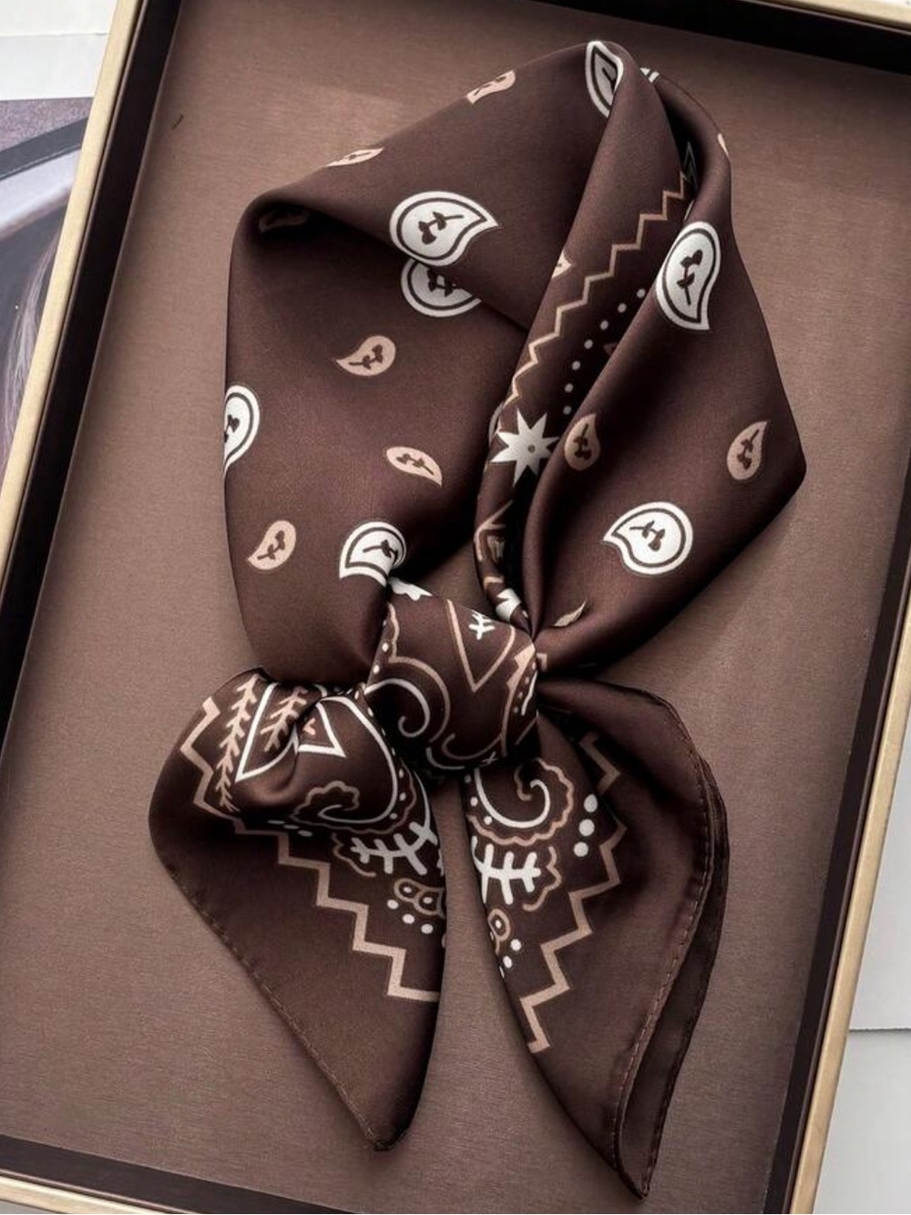 Classic Paisley Scarf in Chocolate 27.5”